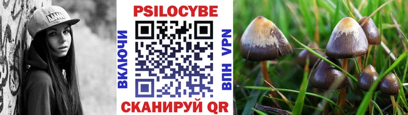 Псилоцибиновые грибы MAGIC MUSHROOMS Елизаветинская